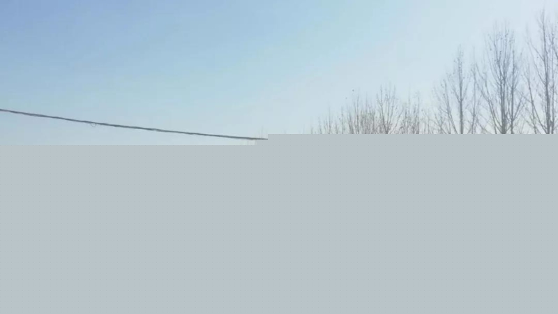 444.jpg